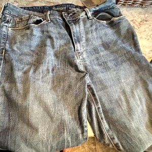 Signature by Levi Strauss & Co. Women's Plus Size Casual Mid Rise Modern Skinny